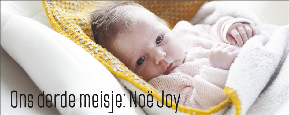 Bolle Buiken Blog 4